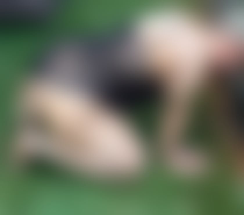Escorts South Yorkshire Sheffield - Photos for Sherry Sexy Girl , New in Town
