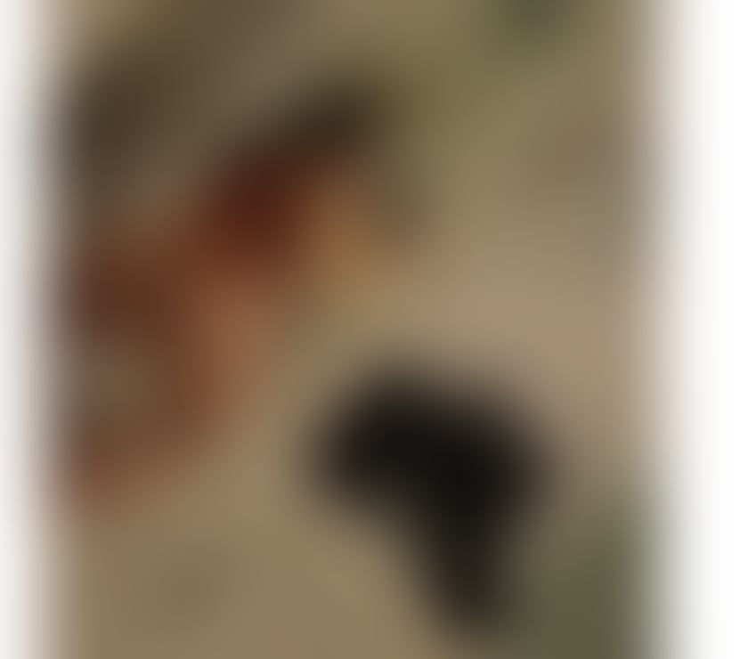 OWO Escorts Beeston Leeds - Photos for Here for your fantasy no rush