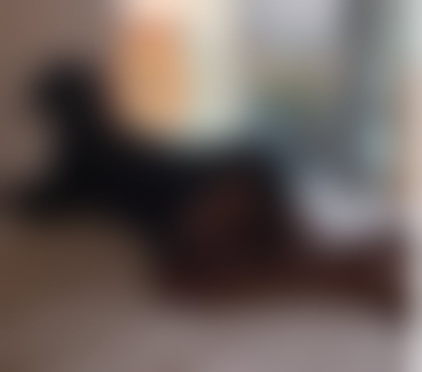Escorts Birmingham Birmingham - Photos for Crystal Ebony Petite British Babe