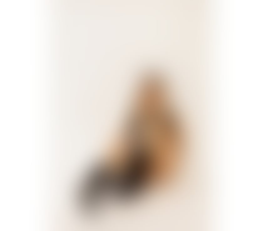 Escorts Nottinghamshire Nottingham - Photos for Maya amazing Brazilian 🇧🇷❤️ sweet Blonde