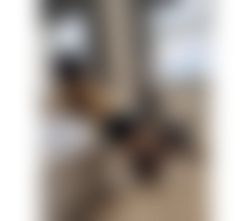 Trans Escorts Slough Slough Town Centre - Slough - Photos for Maria Fernanda 🇧🇷🥳