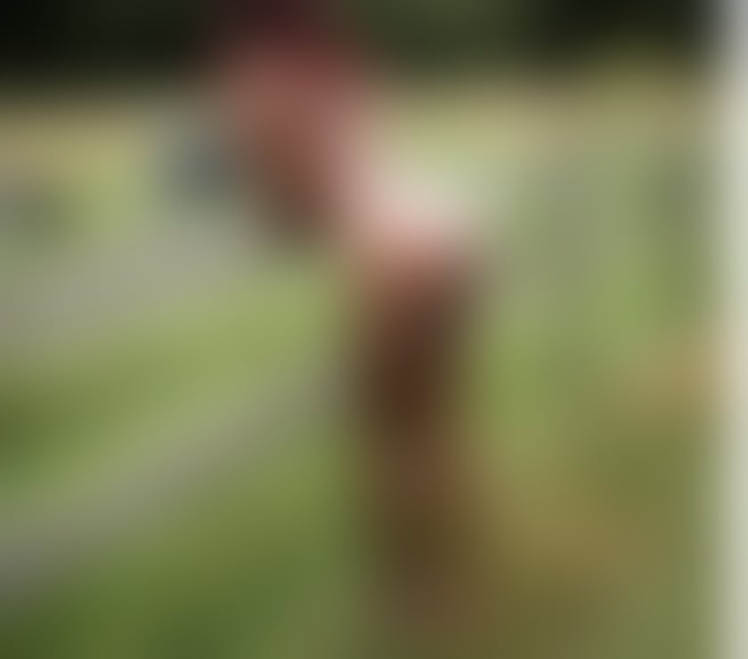 Escorts South East London Greenwich - Photos for sexy ebony Canadian Emily back in GREENWICH NOW