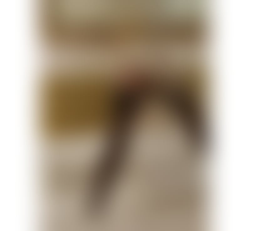 Escorts Cardiff Cardiff City Centre - Cardiff - Photos for I’m Charlie, Wild ,insatiable, and completely untamed.