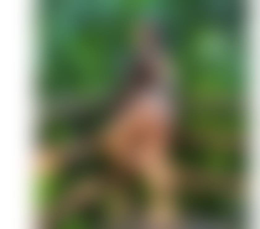 Escorts South West London Sutton - Photos for HOT VITORIA ❤️‍🔥 BEST GIRL 🔝🔥