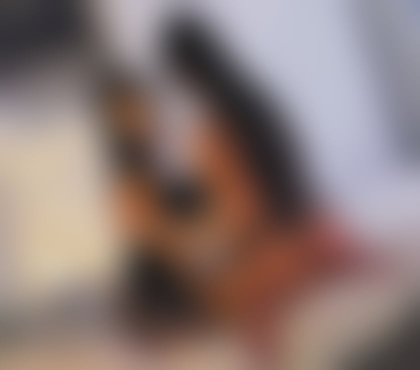Escorts Middlesbrough Town Centre Middlesbrough - Photos for Emily and anatolia💦DUO✨FULL GFE 👅Party girl 🎉