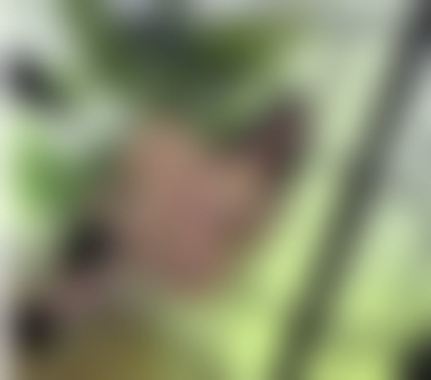 Escorts West Drayton Hillingdon - Photos for Ella xxx Party Girls
