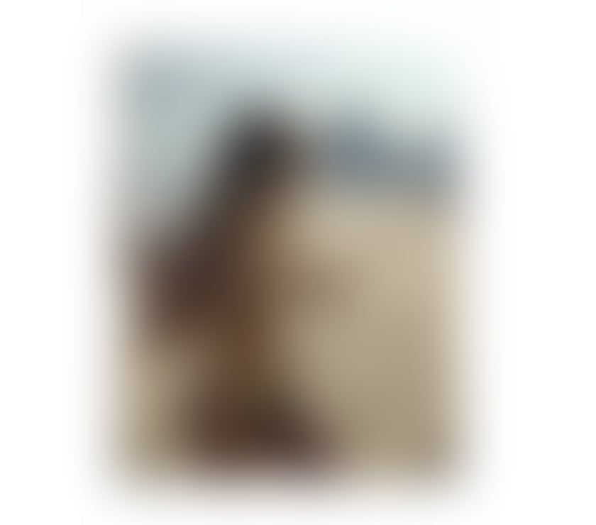 Escorts Hull Hull City Centre - Hull - Photos for 🇧🇷Juliana, Brazilian, new in town; I love partying🔥