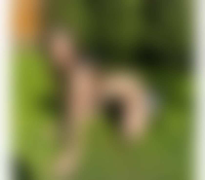 Escorts Dundee Dundee City Centre - Dundee - Photos for 🔞Bombshell Party🥂Strap-on lovers?Domination ALEVEL💦