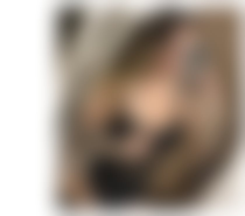 Escorts Hull Hull City Centre - Hull - Photos for 🇧🇷Luana New Girl Love Party🥳GFE🇧🇷