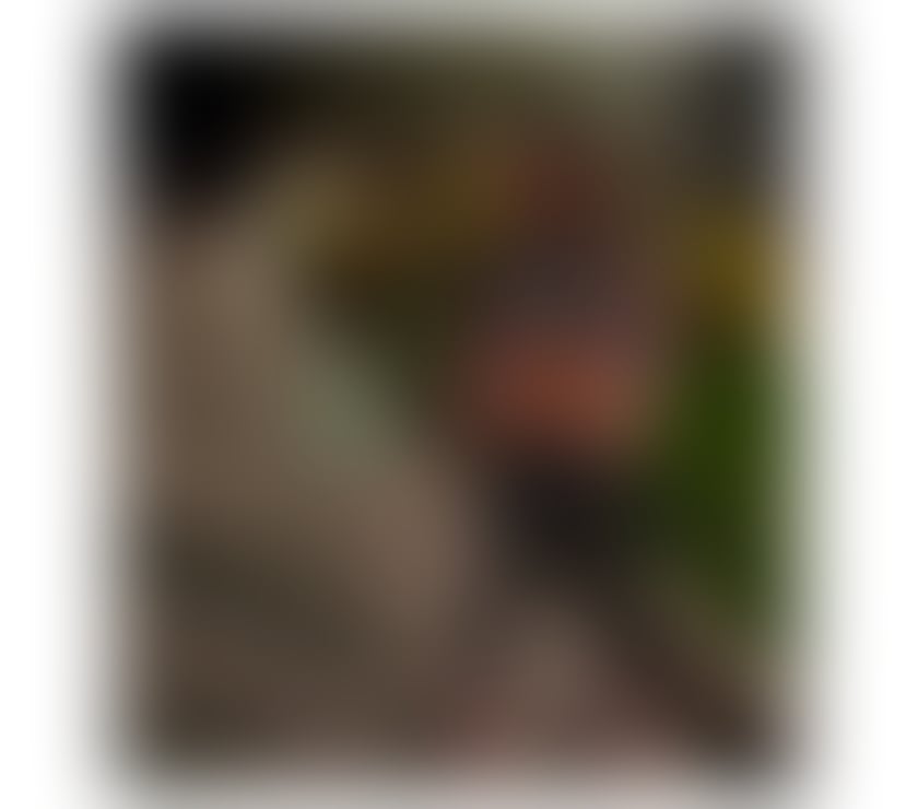Escorts Lincolnshire Lincoln - Photos for Italian Originally slim fit big booty☺️👄❤️