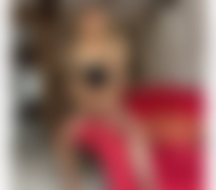 Trans Escorts Leicestershire Leicester - Photos for Bruna Brazilian 🇧🇷🍆🔥 TOP AND BOTTOM