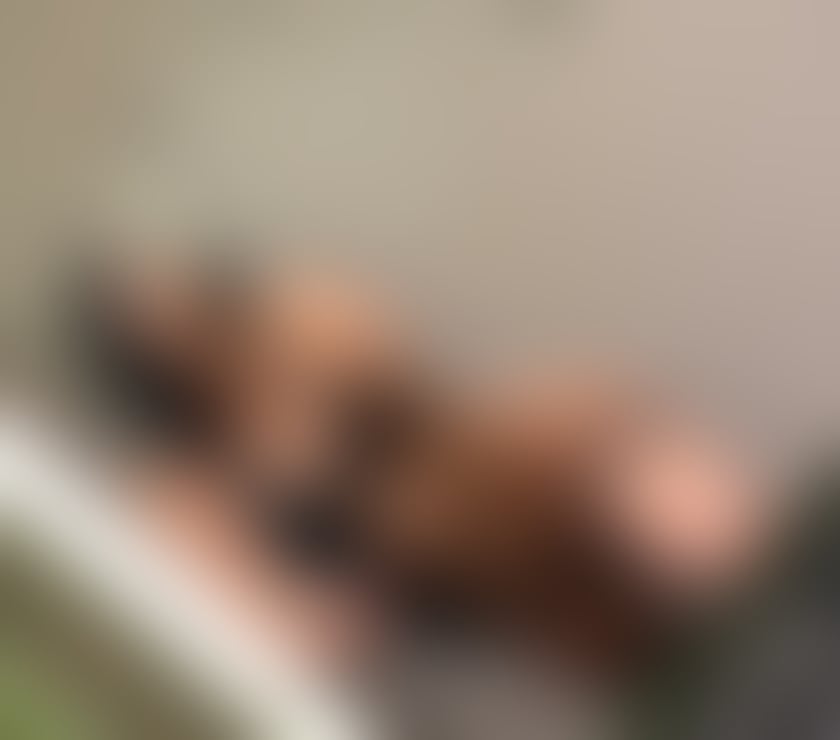 Escorts Norfolk King's Lynn and West Norfolk - Photos for 🥳Hi new in town julia party girl only outcoll 24 7💋