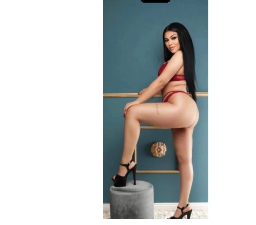 Escorts Falkirk Falkirk Town Centre - Falkirk - Photos for New curvy girl around party funny friendly