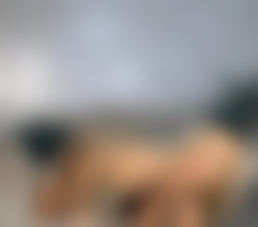 Escorts Staffordshire Stafford - Photos for Aleja new in you’re town💫just arrived