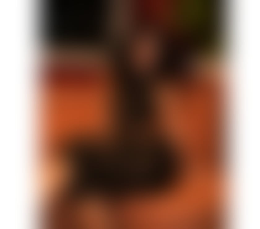 Escorts York City Centre York - Photos for Liz Sexy Girl, Real Photos, No rush.