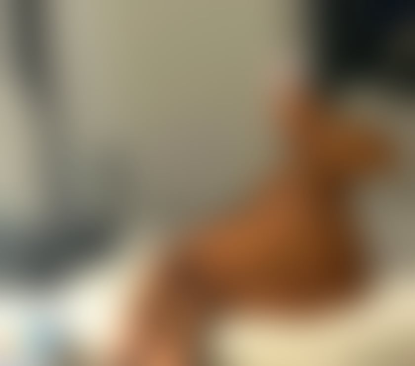 Escorts Ocean Village Southampton - Photos for 💋 SWEET & BEAUTIFUL MEL
