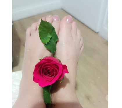 Escorts and Massages Bristol South Gloucestershire - Photos for DAYANA, A HOT LATINA WHO WILL FULFILL YOUR DESIRES
