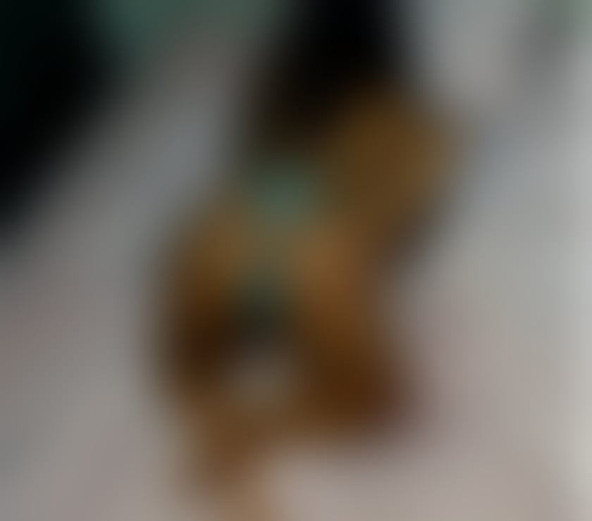 Escorts South Yorkshire Barnsley - Photos for LUCY🔥🔥NEW IN TOWN PARTYGIRL