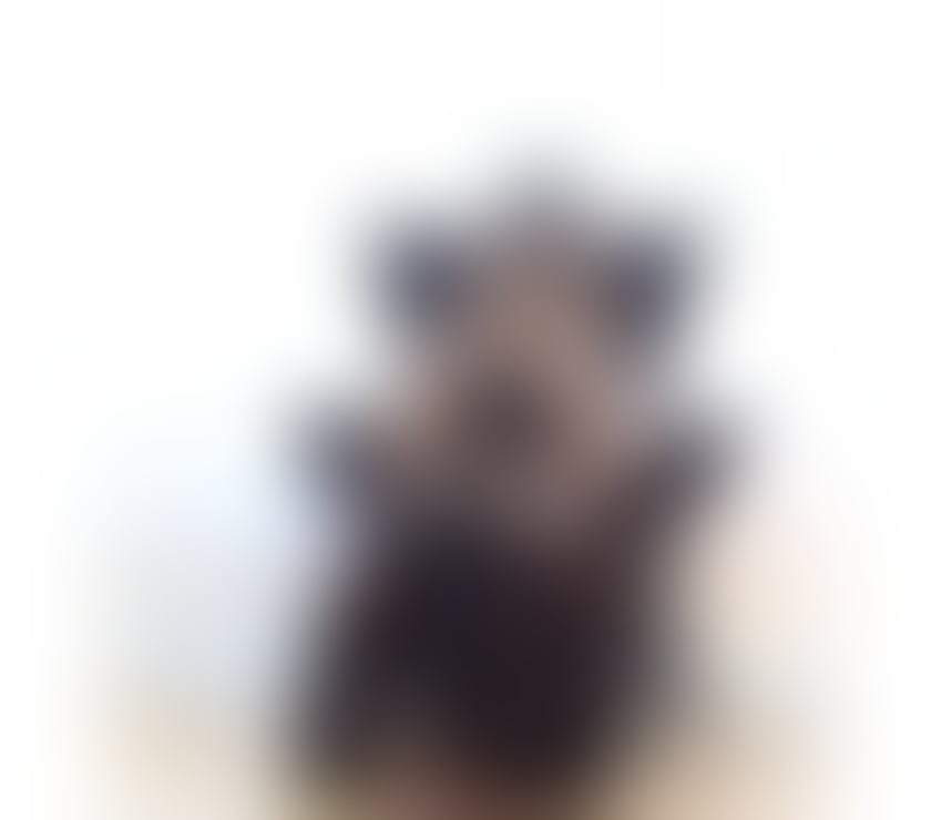 Escorts West London Acton - West London - Photos for 💚💚PATRICIA LADY SEXY 💚💚 BRAZILIAN ONLY 💚💚