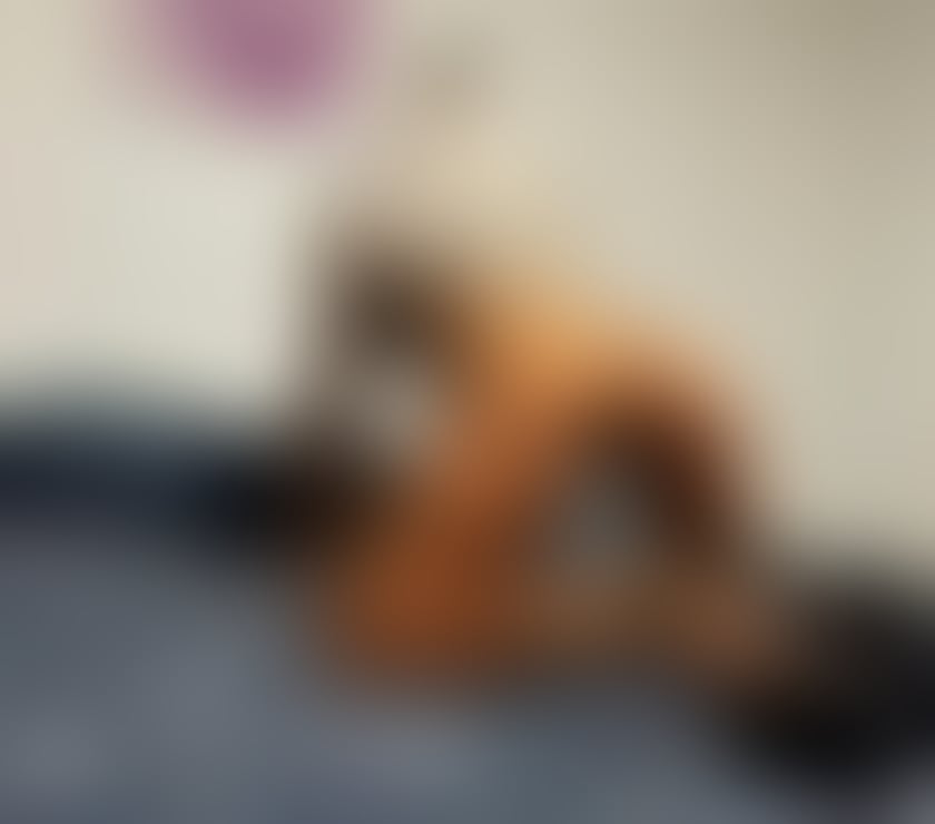 Escorts West Yorkshire Leeds - Photos for Charlotte New in Town
