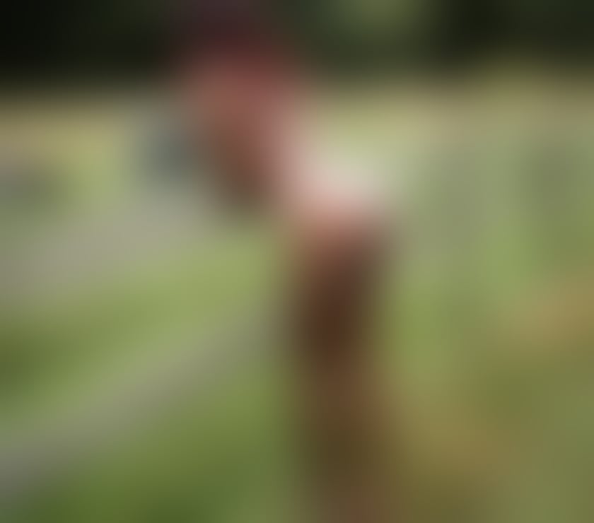 Escorts West London Hillingdon - Photos for Ebony Canadian Emily back at HEATHROW