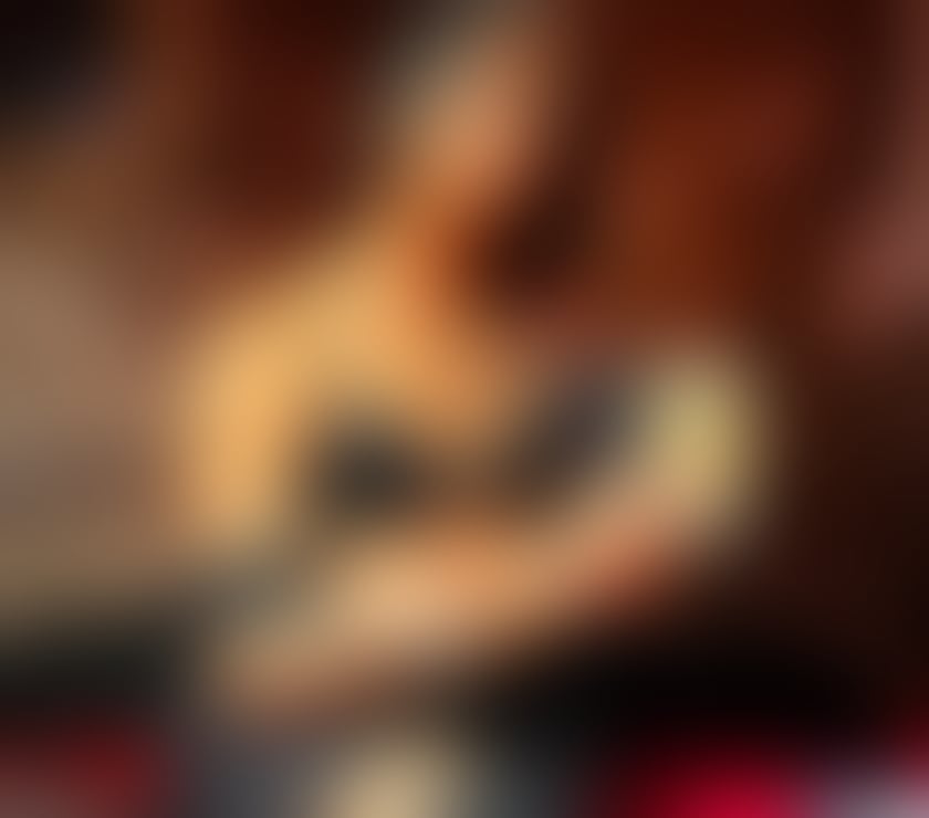 Trans Escorts Hull Hull City Centre - Hull - Photos for Trans Witch & Professional Domme From The Caribbean
