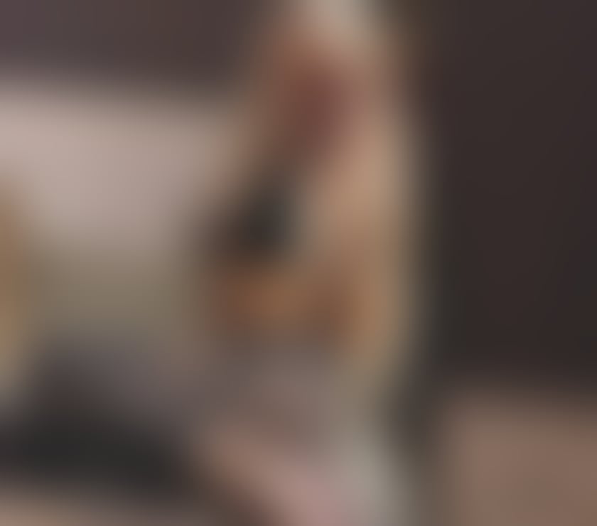 Escorts Exeter City Centre Exeter - Photos for NEW HERE ❤️BOOK NOW❤️ TOP SERVICES