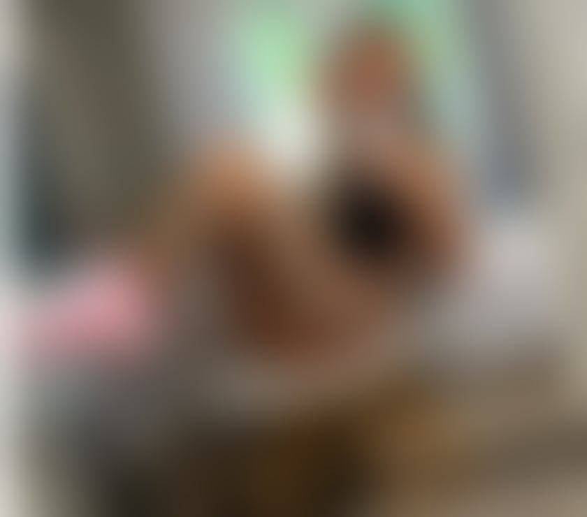 Escorts Essex Thurrock - Essex - Photos for Easy Genuine Company