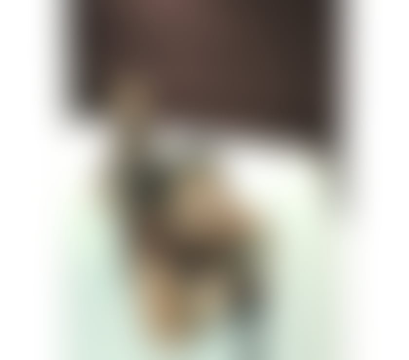 Escorts Greater Manchester Oldham - Photos for 🔞Layla – Domina | Fetish | |STR@P-ON| 🔞