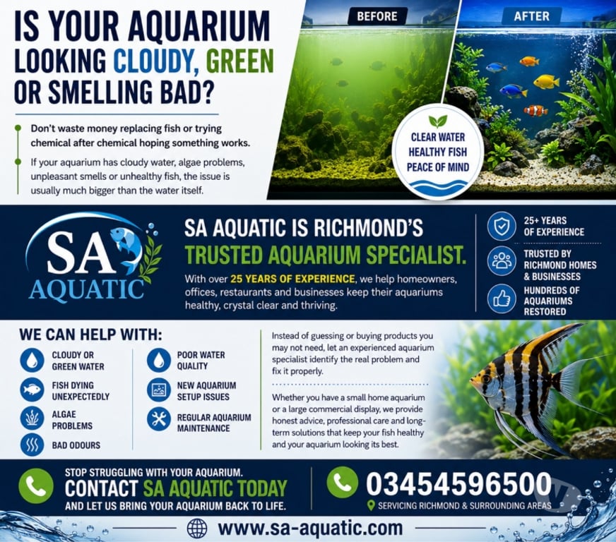 Other Services South West London Richmond upon Thames - Photos for Beautiful Aquariums in Richmond Don't Happen by Chance