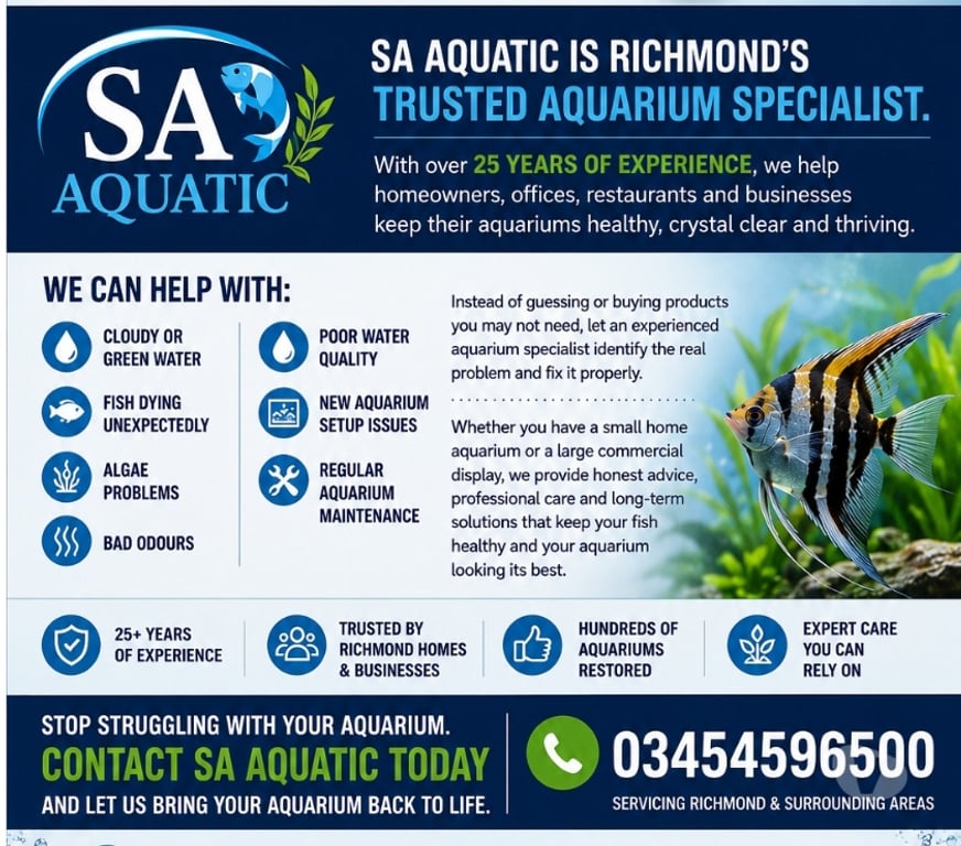 Other Services South West London Richmond upon Thames - Photos for Beautiful Aquariums in Richmond Don't Happen by Chance