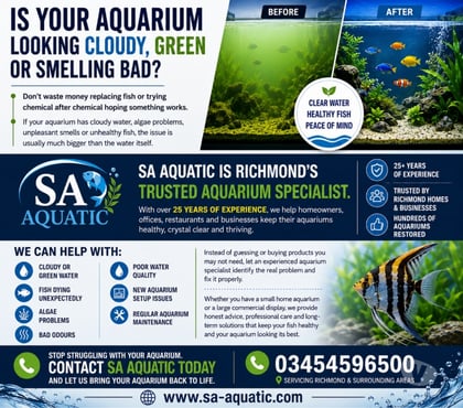 Other Services Richmond Richmond upon Thames - Photos for Beautiful Aquariums in Richmond Don't Happen by Chance