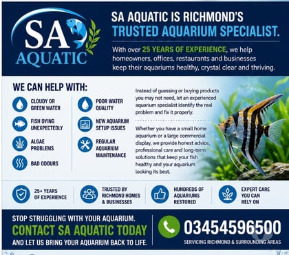 Other Services Richmond Richmond upon Thames - Photos for Beautiful Aquariums in Richmond Don't Happen by Chance