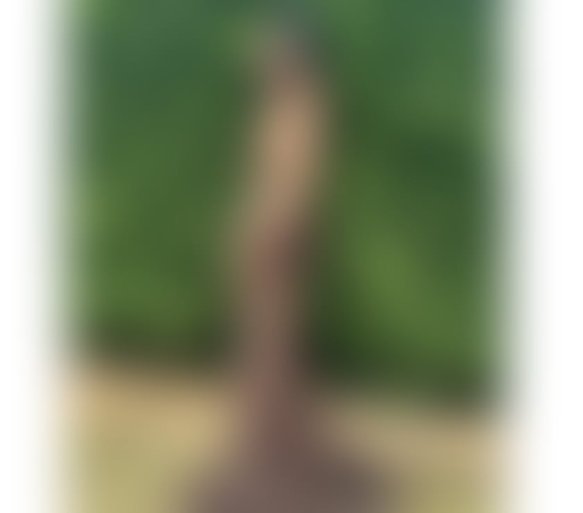 Escorts County Durham Bishop Auckland - County Durham - Photos for Hello. babes!! I’m Amanda Thailand 🌹🌷🌹🔥🔥