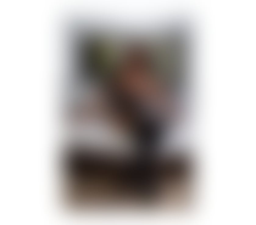 Trans Escorts Belfast Belfast City Centre (South) - Belfast - Photos for I’M TRANS 100%REAL PHOTOS BEST SERVICE