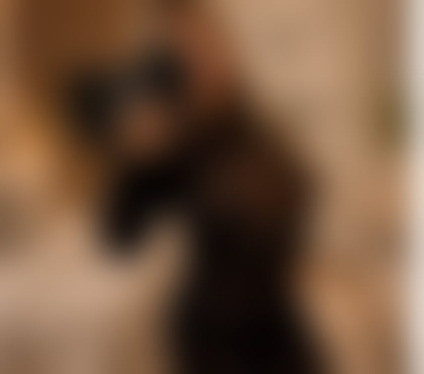 Escorts West Midlands Birmingham - Photos for New Brazilian Blonde For You ‼️