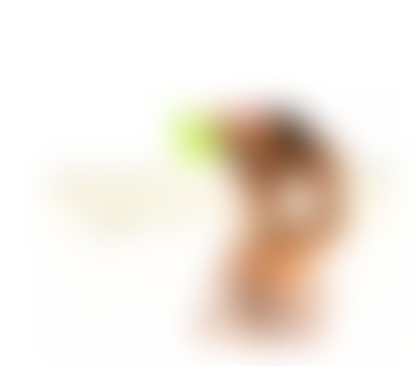 Escorts Corby North Northamptonshire - Photos for seductive sensual and sexy Asian Corby
