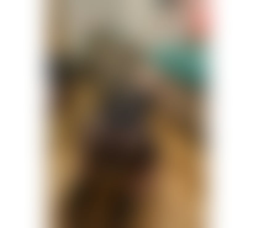 Escorts North West London Harrow - Photos for ♥️ZOE♥️ TRANS EXPERIENCE ✅ TOP AND BOTTOM