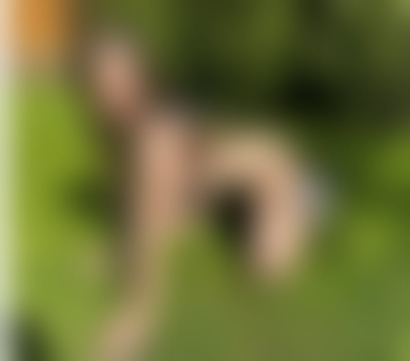 Escorts Warwickshire Warwick - Photos for 🔞Bombshell Party🥂Strap-on lovers?Domination ALEVEL💦