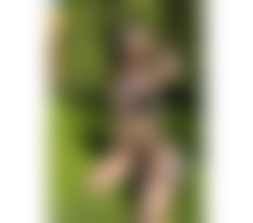 Escorts Warwickshire Warwick - Photos for 🔞Bombshell Party🥂Strap-on lovers?Domination ALEVEL💦