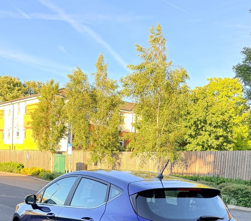 used cars for sale South West London Sutton - Photos for 2017 Ford fiesta 1L petrol 2 keys full service history
