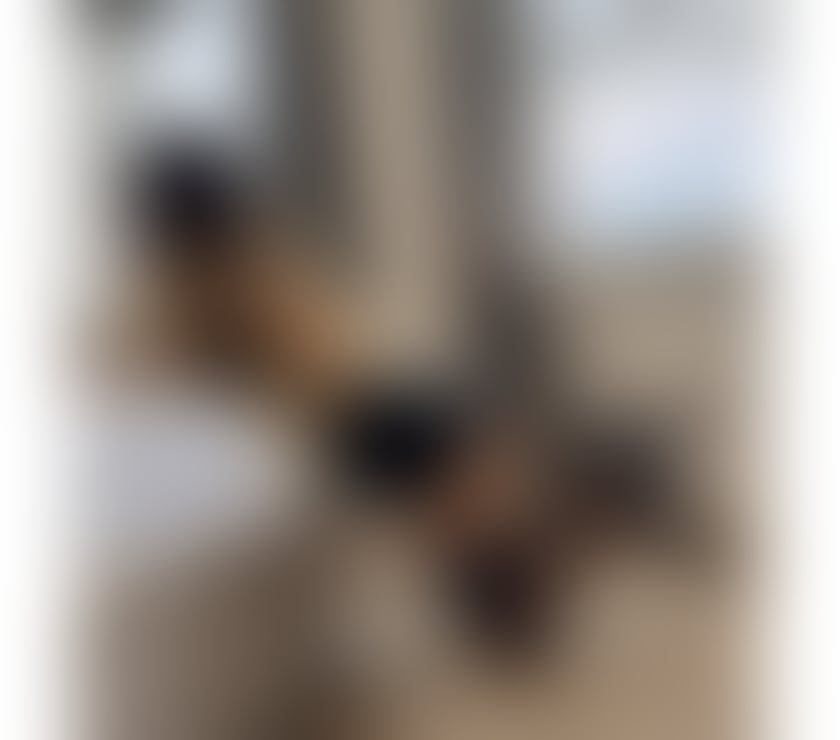 Trans Escorts Hampshire Portsmouth - Photos for Maria Fernanda 🇧🇷🥳