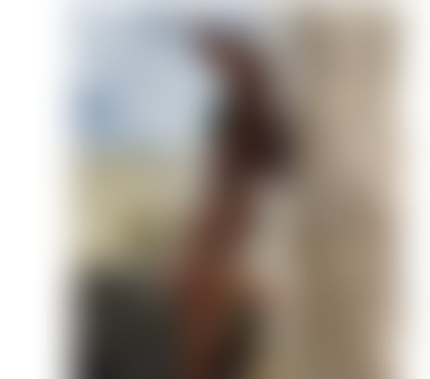 Escorts Merseyside Liverpool - Photos for 💎Your Dream Brunette💎