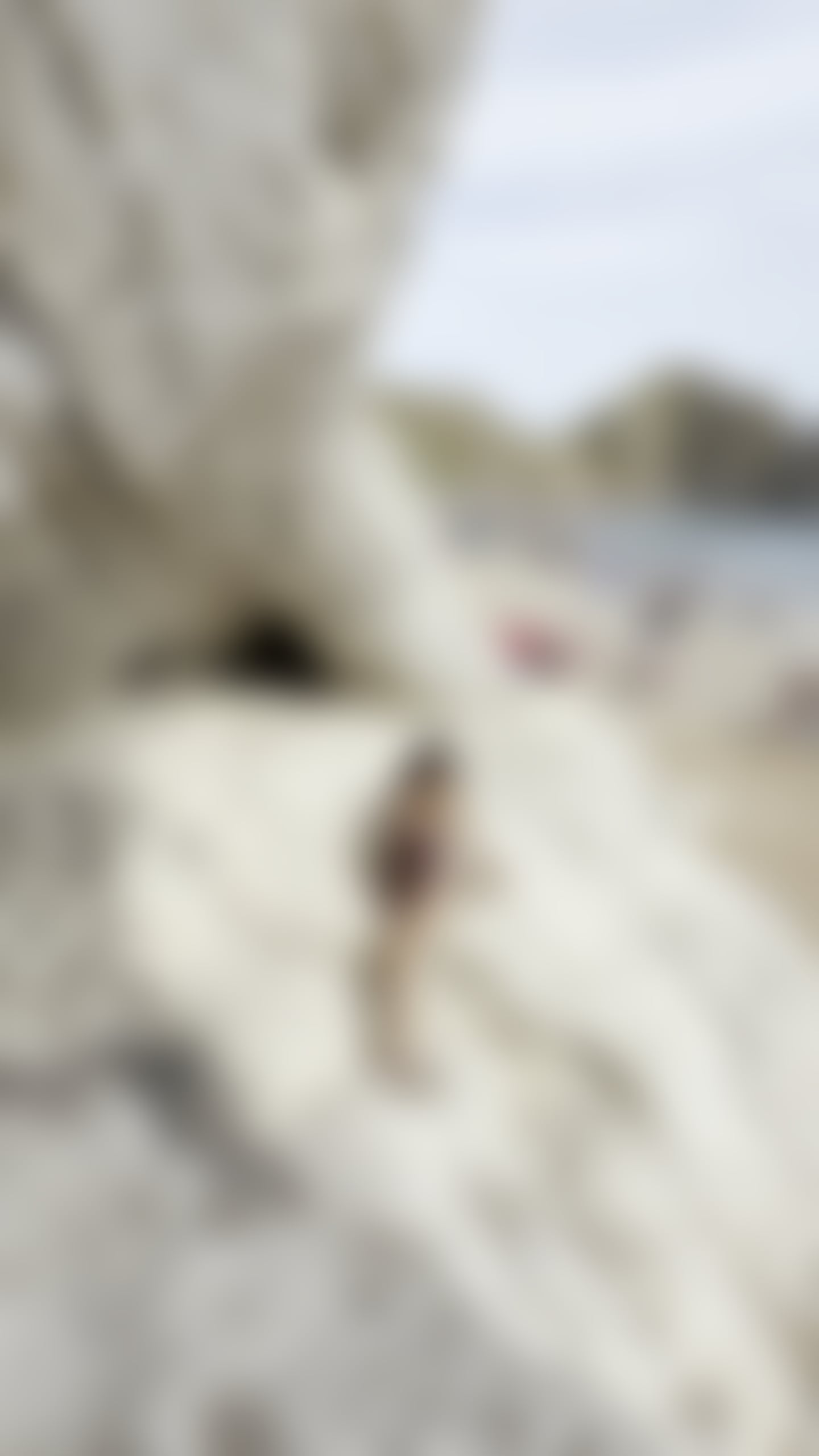 Trans Escorts Central London Kensington and Chelsea - 