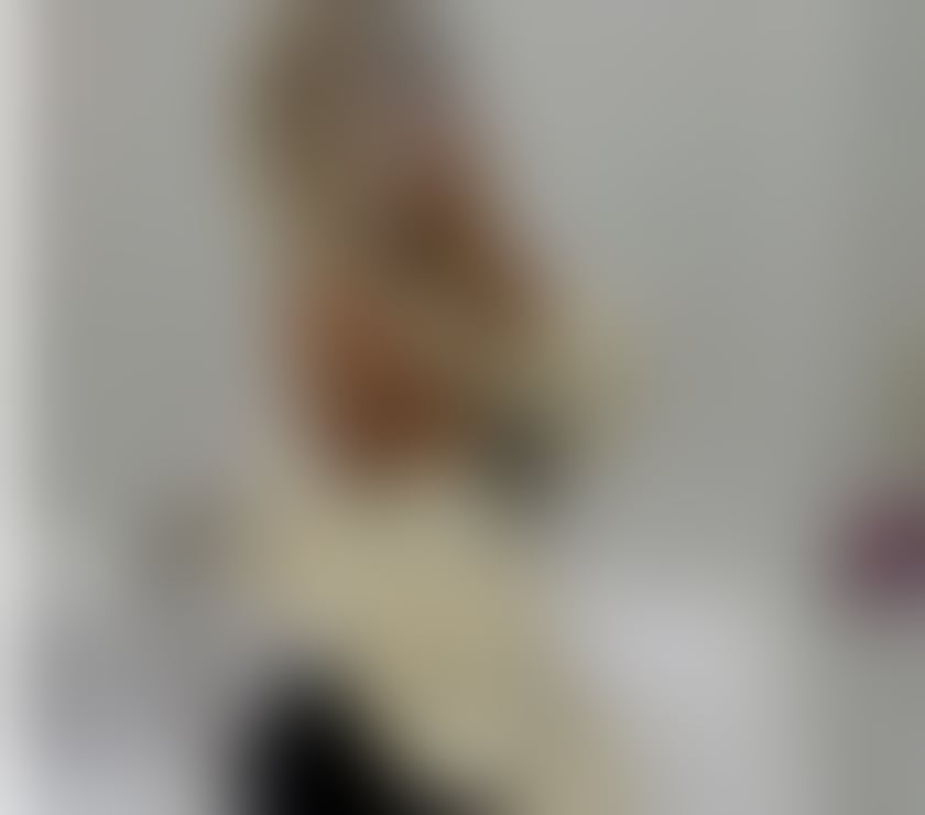 Escorts Stirling Stirling City Centre - Stirling - Photos for Jessy new arrived ❤️ best services