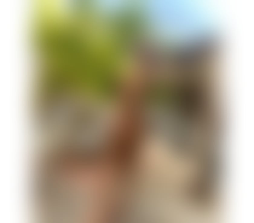 Escorts West Northamptonshire Northampton - West Northamptonshire - Photos for Alexia new in your city