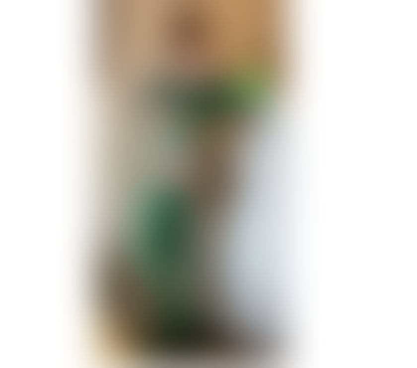 Escorts Edinburgh Edinburgh - Edinburgh - Photos for THE BEST MASSAGE FOR YOU
