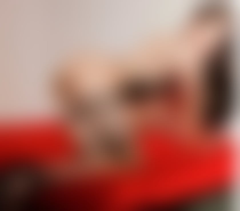 Escorts Essex Colchester - Photos for ❤️‍🔥I'm ZOEY sexy Thai ladyboy in ✅COLCHESTER now
