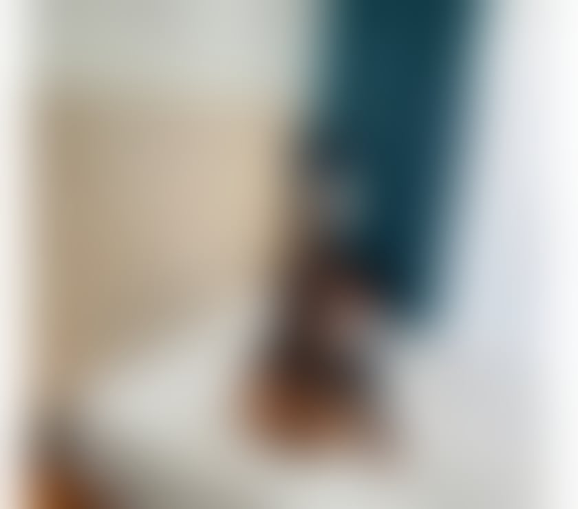Escorts County Durham Darlington - Photos for New Amira party girl in your town