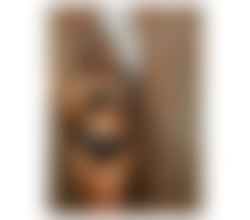 Escorts West Lothian Bathgate - West Lothian - Photos for MONICA ❤️‍🔥NEW IN TOWN ❤️PARTY GIRL🥂OUT-INC